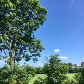 Blick aus dem Fenster